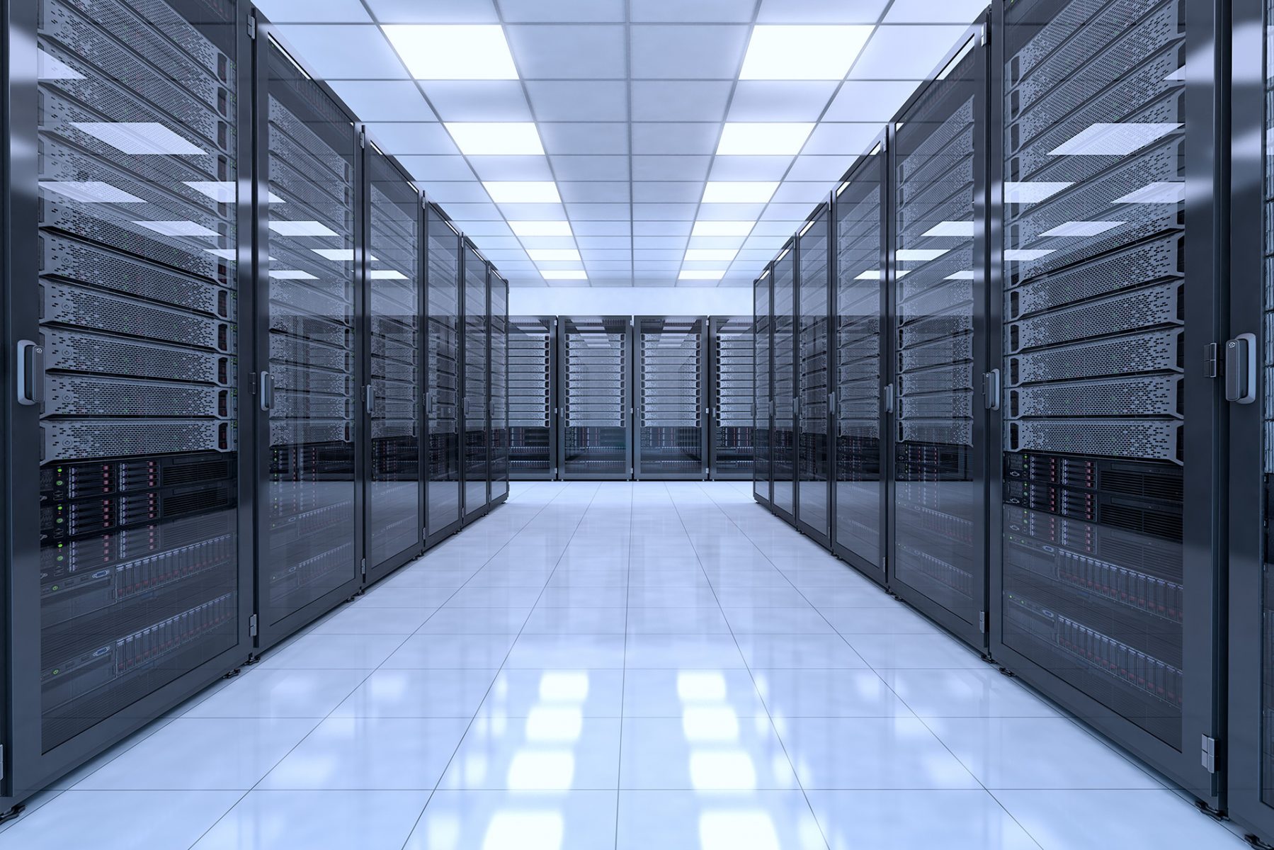 Link web development hosting design development